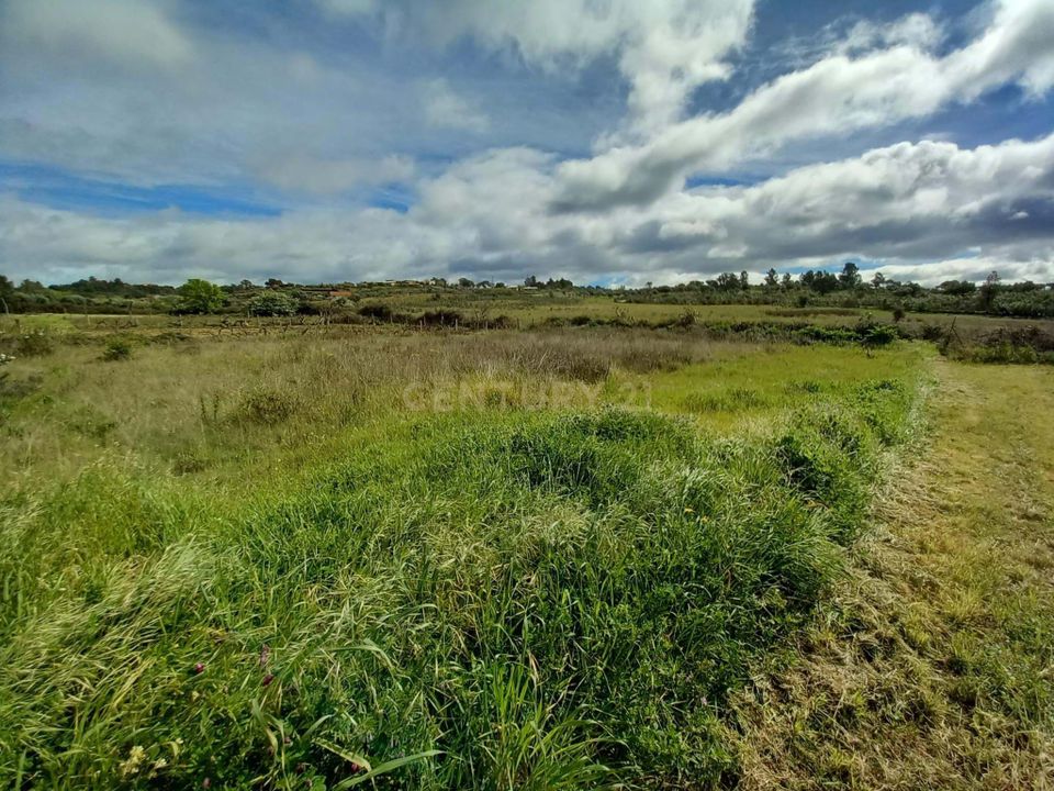 Terra a Ninho do Acor, Castelo Branco - foto 1