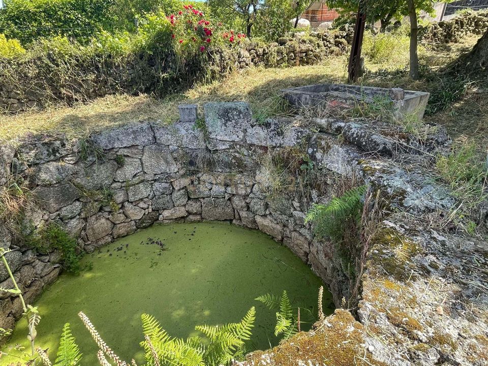 Helårsgrund i Idanha-a-Nova, Castelo Branco - foto 2