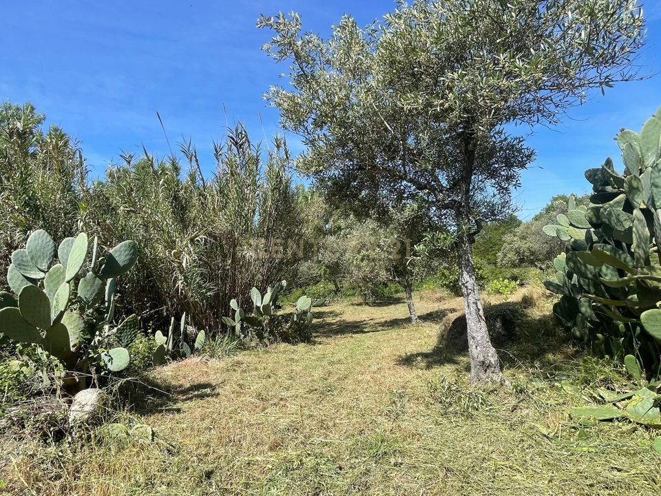 Helårsgrund i Idanha-a-Nova, Castelo Branco - foto 3