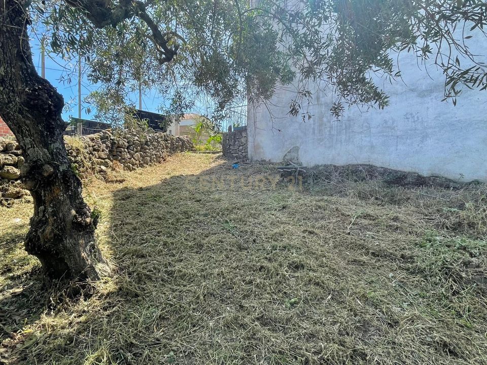 Helårsgrund i Idanha-a-Nova, Castelo Branco - foto 5