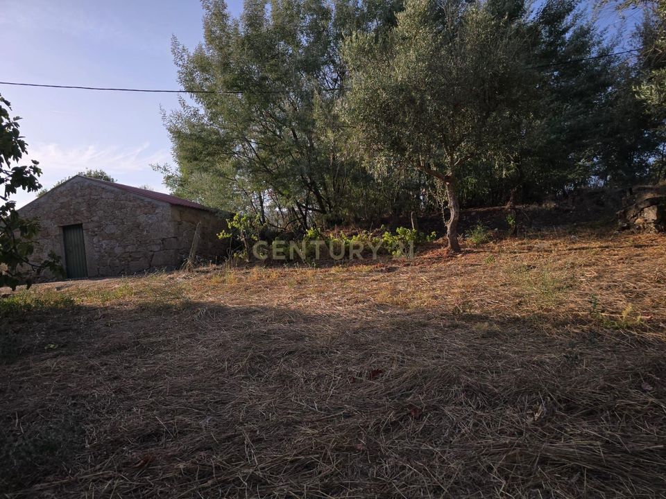 Tomt i Fundao, Castelo Branco - bilde 4