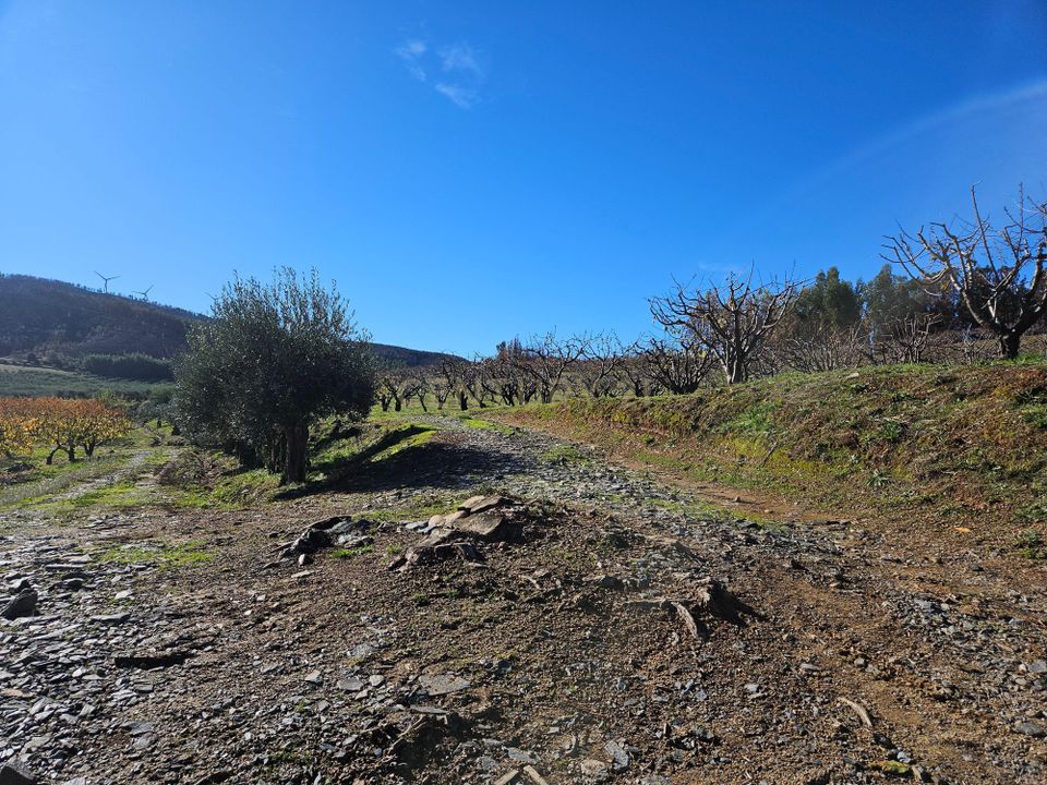 Farm hus i Fundao, Castelo Branco - foto 3