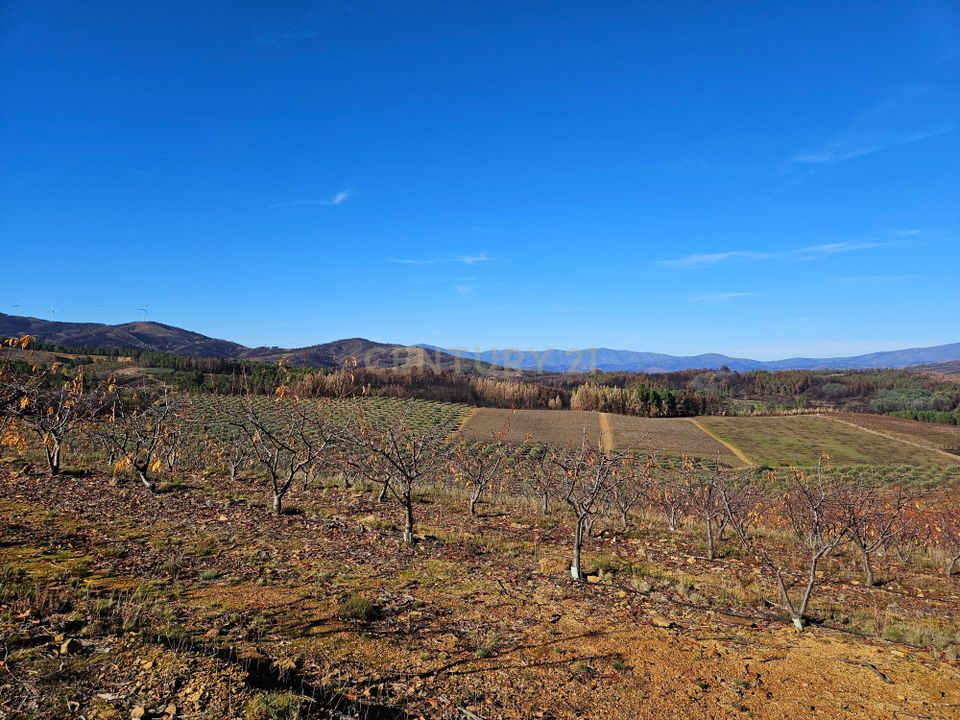 Farm hus i Fundao, Castelo Branco - foto 4