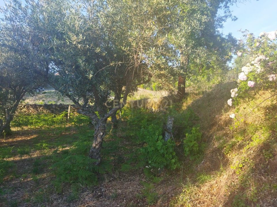 Helårsgrund i Castelo Branco, Castelo Branco - foto 2
