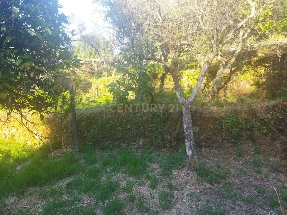 Helårsgrund i Castelo Branco, Castelo Branco - foto 4