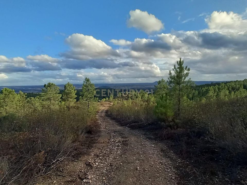 Helårsgrund i Vila Velha de Rodao, Castelo Branco - foto 2
