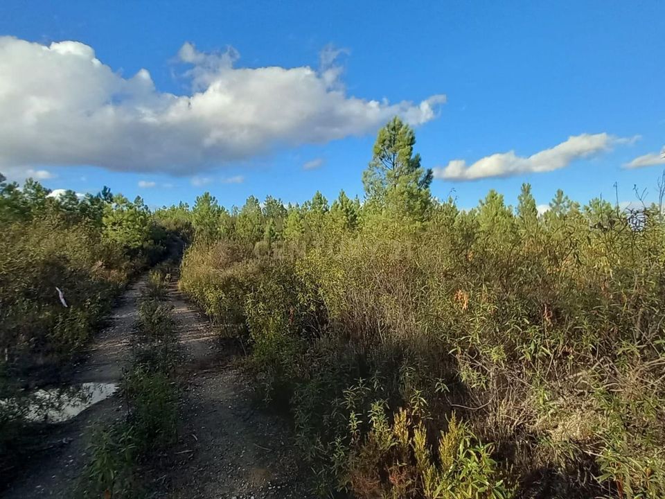 Helårsgrund i Vila Velha de Rodao, Castelo Branco - foto 5