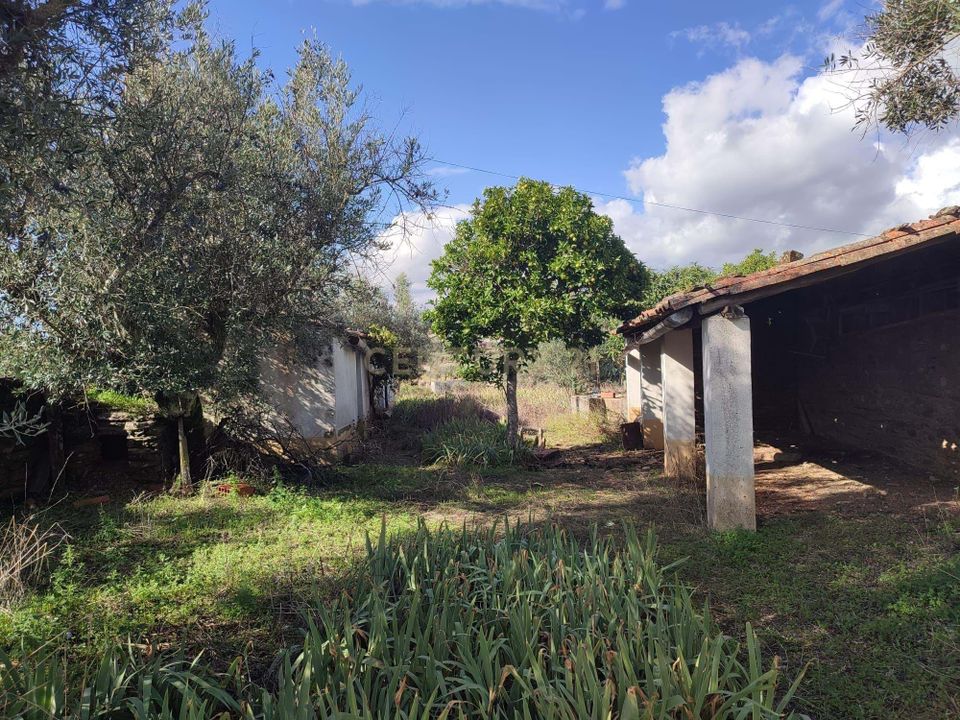 Helårsgrund i Vila Velha de Rodao, Castelo Branco - foto 4