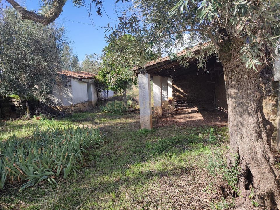Helårsgrund i Vila Velha de Rodao, Castelo Branco - foto 5