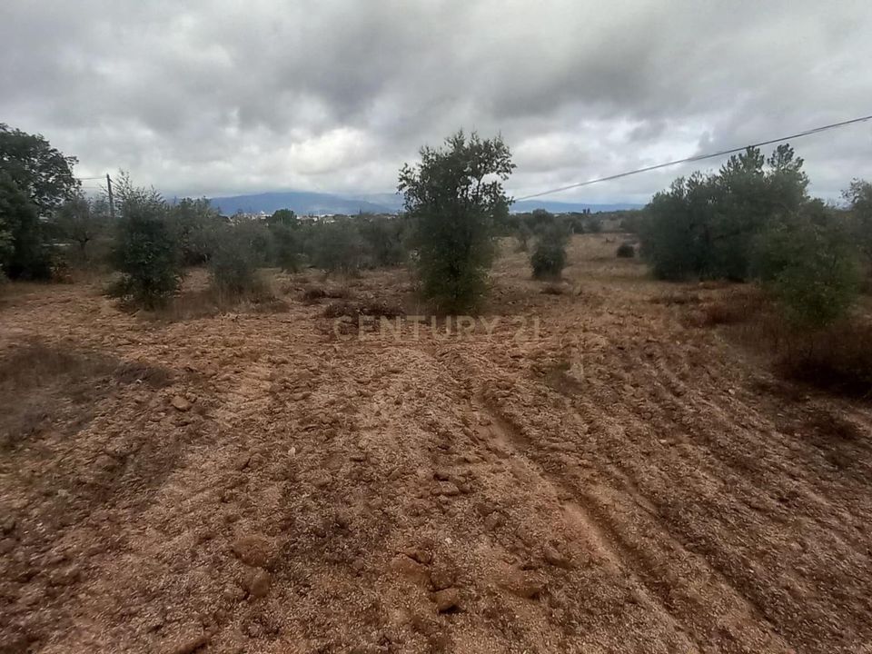 Helårsgrund i Castelo Branco, Castelo Branco - foto 4