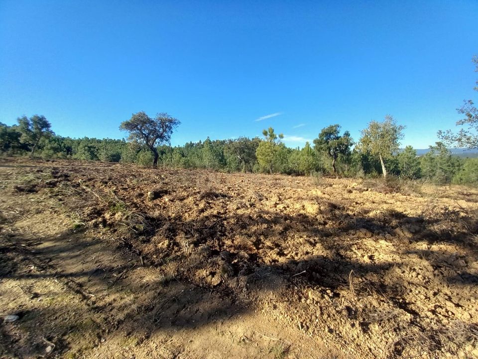Helårsgrund i Vila Velha de Rodao, Castelo Branco - foto 4