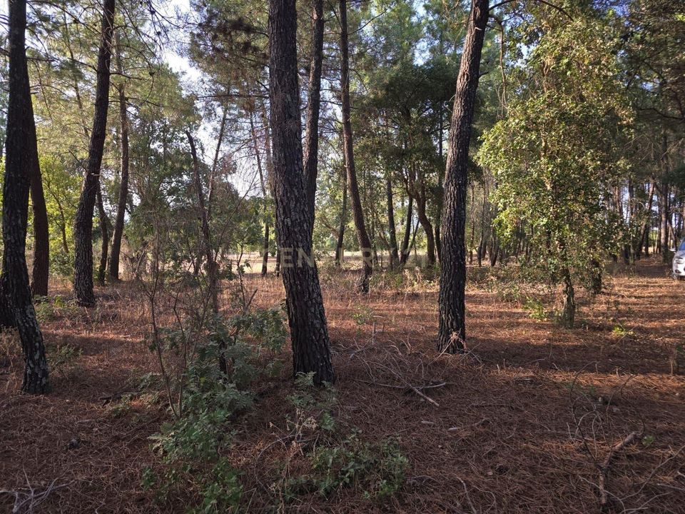 Helårsgrund i Fundao, Castelo Branco - foto 3