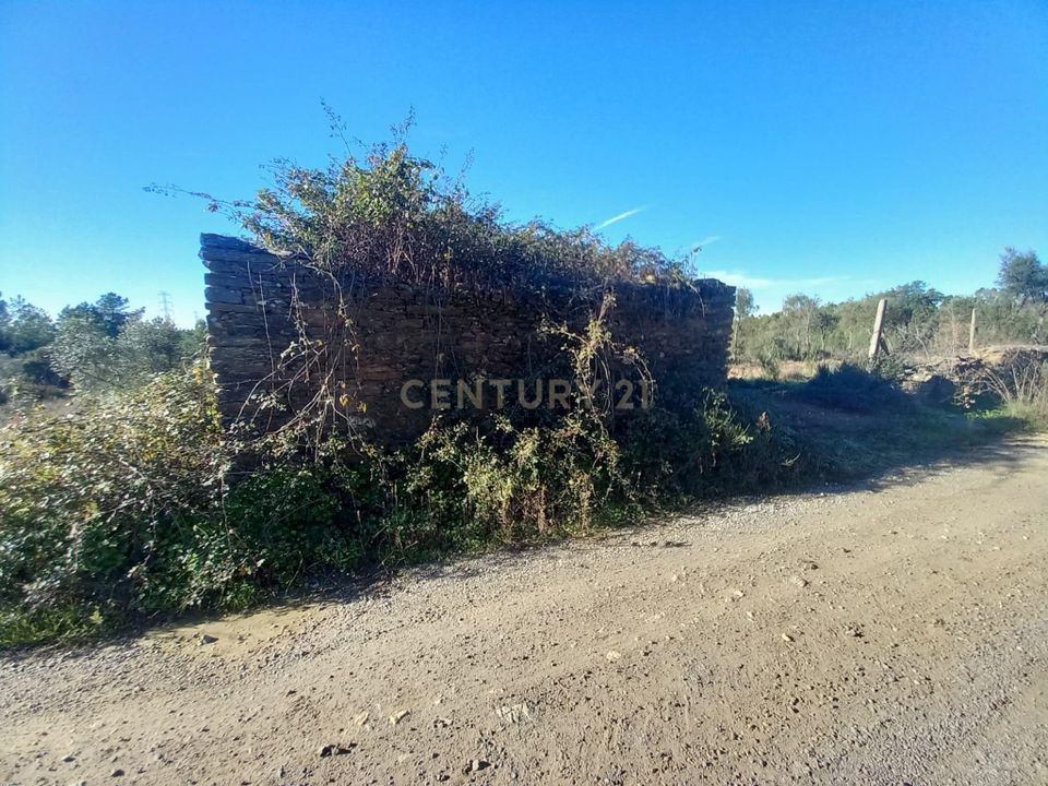 Farm hus i Vila Velha de Rodao, Castelo Branco - foto 3