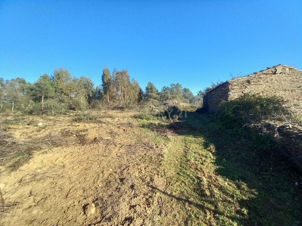 Farm hus i Vila Velha de Rodao, Castelo Branco - foto 4