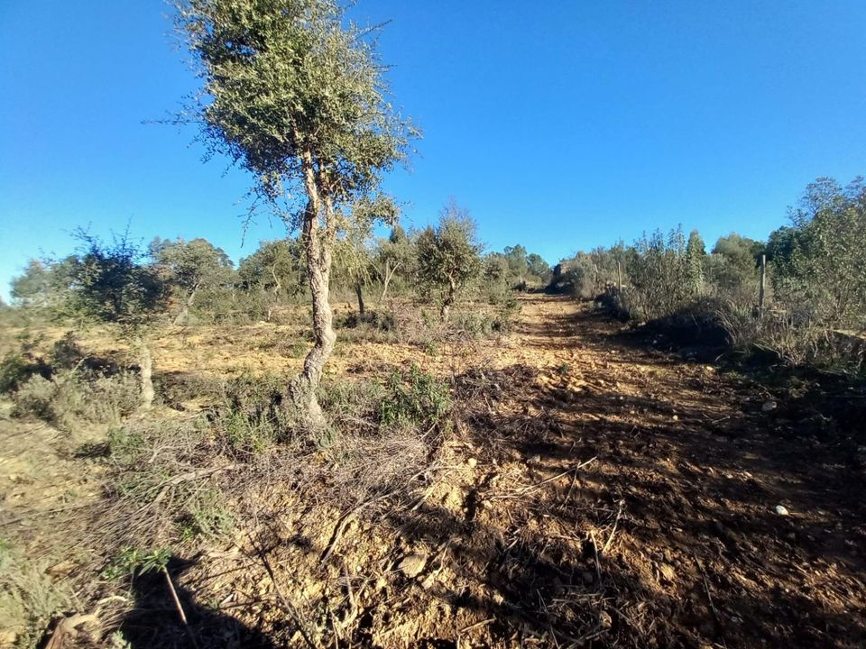 Farm hus i Vila Velha de Rodao, Castelo Branco - foto 5