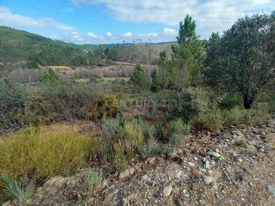 Helårsgrund i Sobreira Formosa e Alvito da Beira, Castelo Branco - foto 3