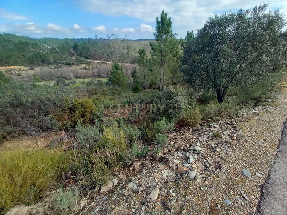 Helårsgrund i Sobreira Formosa e Alvito da Beira, Castelo Branco - foto 4