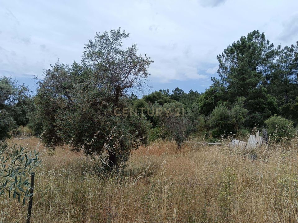 Helårsgrund i Castelo Branco, Castelo Branco - foto 4
