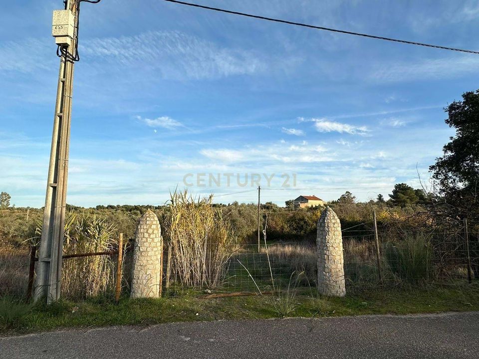 Helårsgrund i Idanha-a-Nova, Castelo Branco - foto 1
