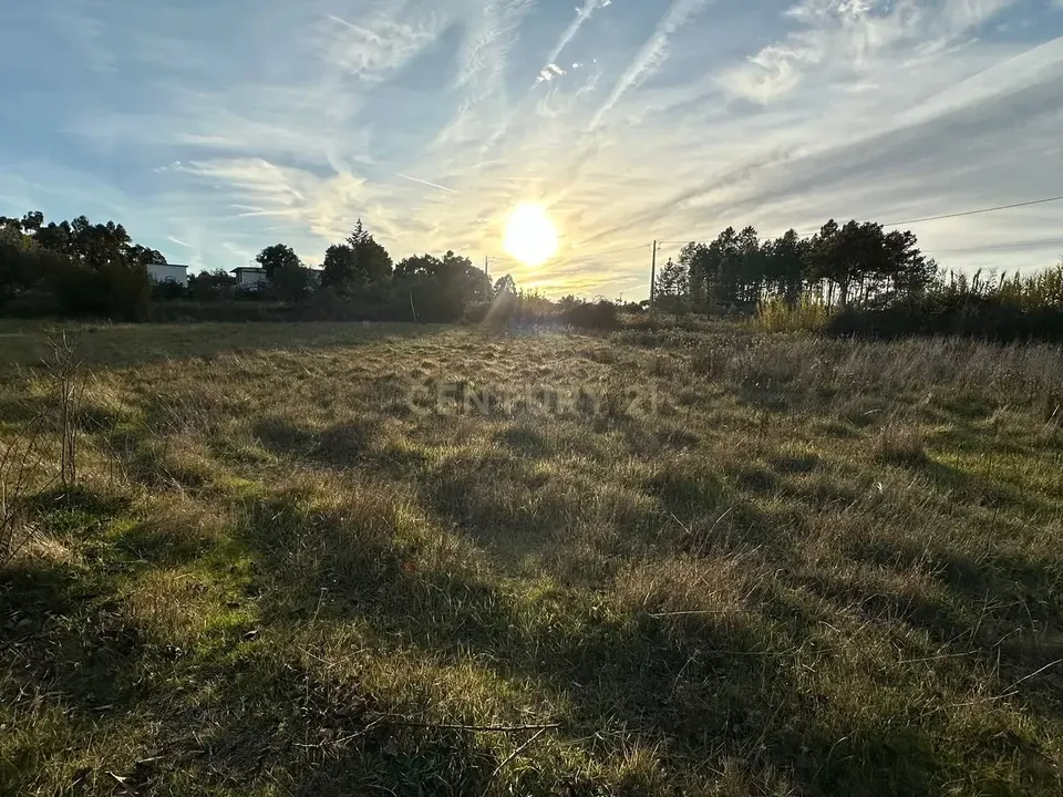 Helårsgrund i Idanha-a-Nova, Castelo Branco - foto 2