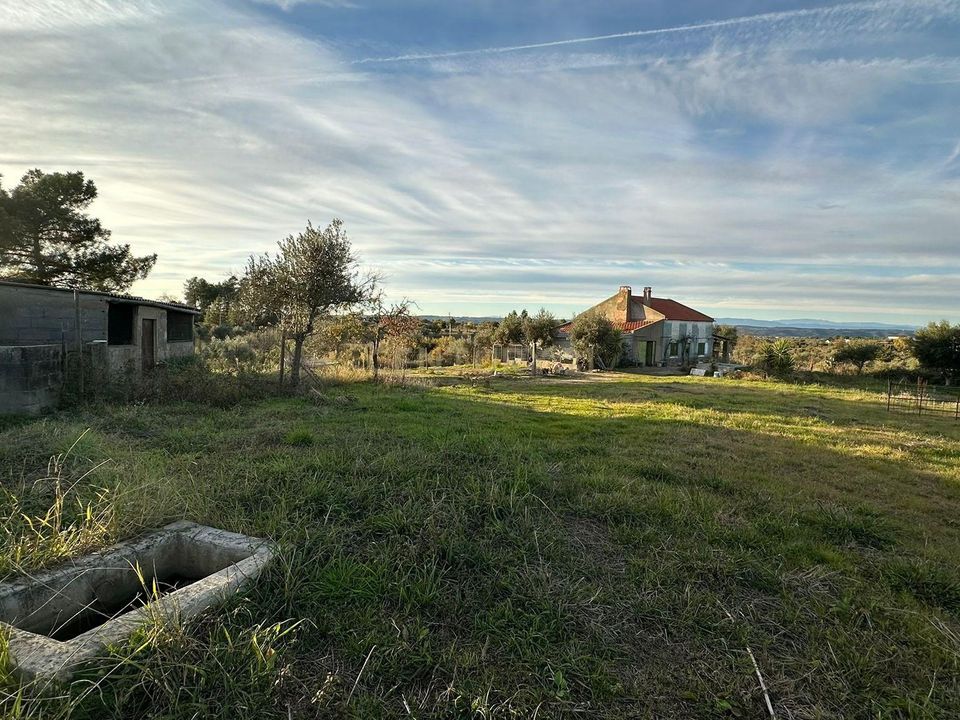 Helårsgrund i Idanha-a-Nova, Castelo Branco - foto 3
