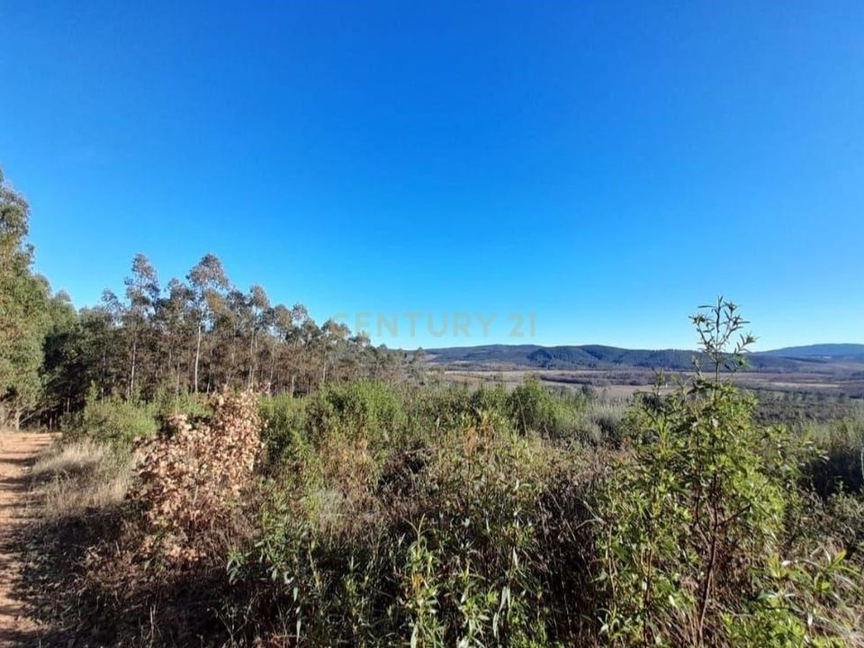 Helårsgrund i Fundao, Castelo Branco - foto 1