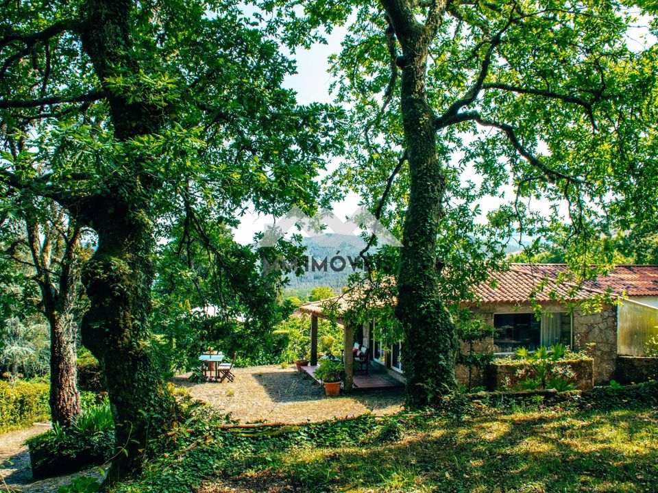 Farm hus i Viana do Castelo, Viana do Castelo - foto 4