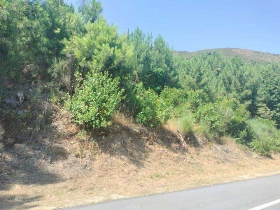 Helårsgrund i Vila Real, Vila Real - foto 1
