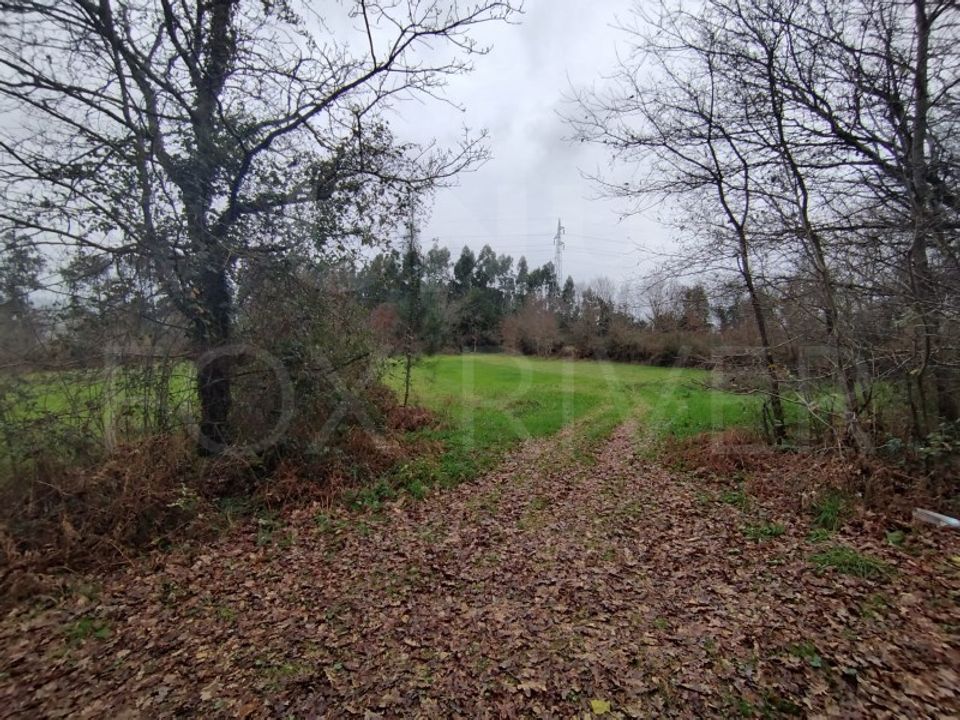 Helårsgrund i Ganfei, Viana do Castelo - foto 3