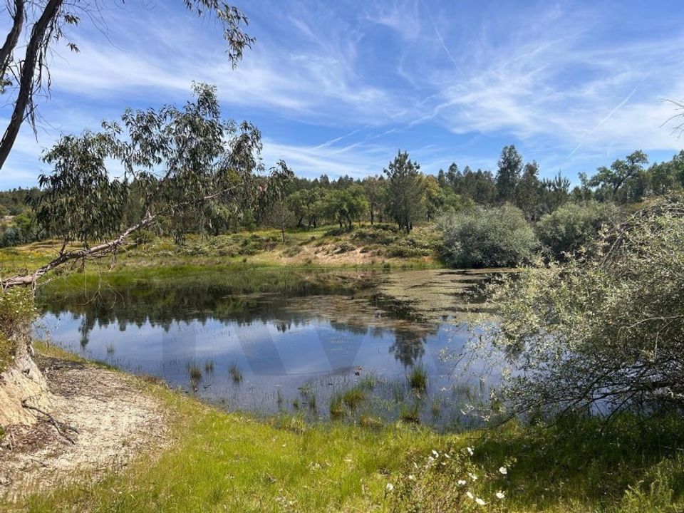 Farm i Almeirim, Santarem - foto 1