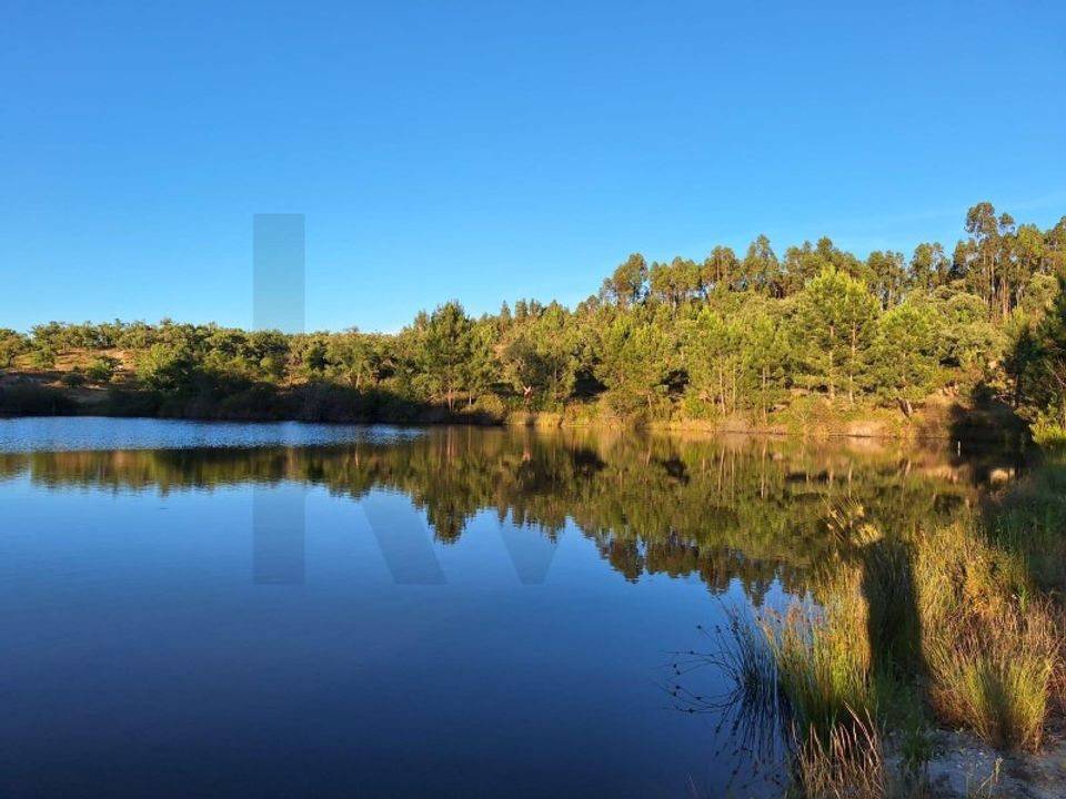 Farm i Almeirim, Santarem - foto 4