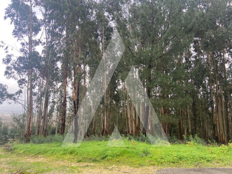 Helårsgrund i Sangalhos, Aveiro - foto 2