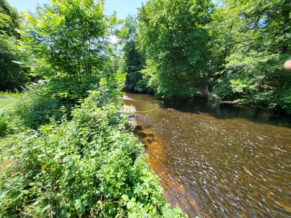 Willa: Le Pêchereau, Indre – zdjęcie 4