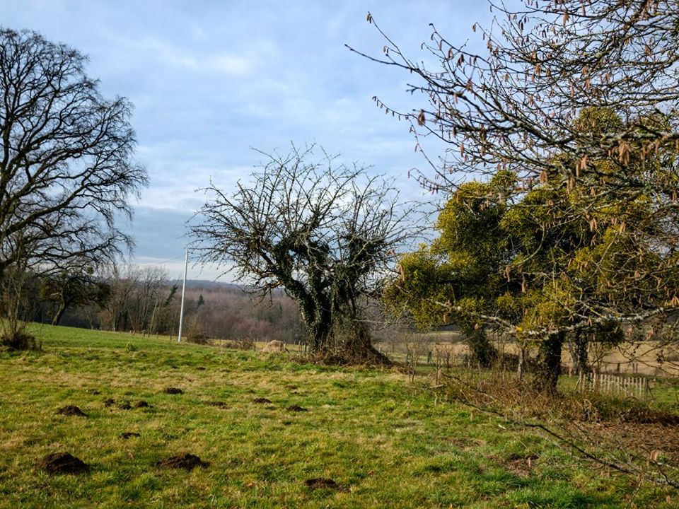 Helårsgrund i Lomont, Haute-Saone - foto 2
