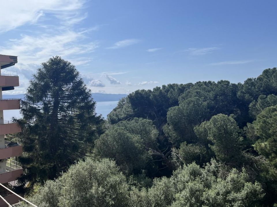 Studio i Ajaccio, Corse-du-Sud - foto 1