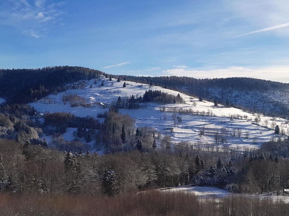 Farm i Fresse-sur-Moselle, Vosges - foto 4