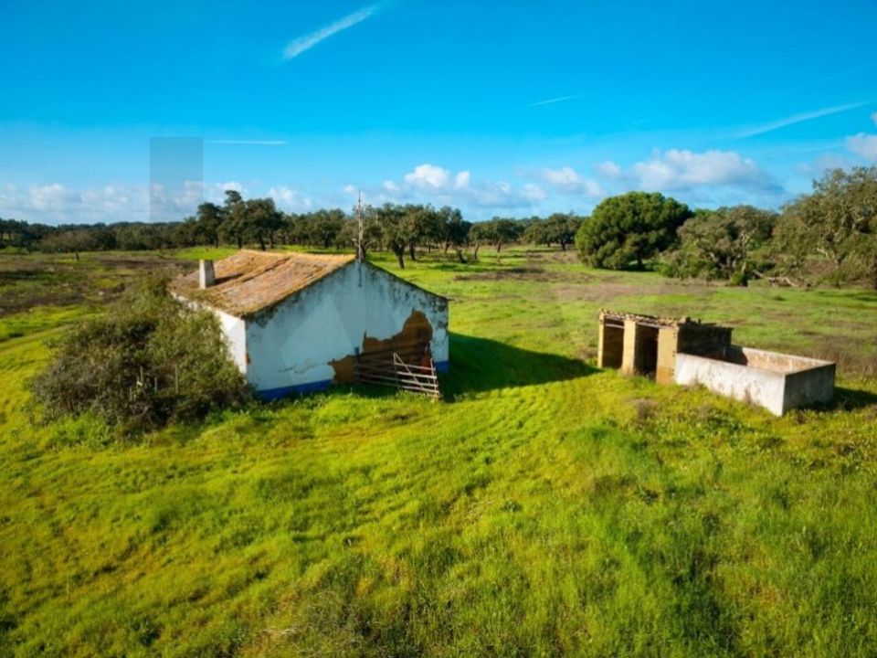 Farm i Sao Domingos e Vale de Agua, Setubal - foto 4