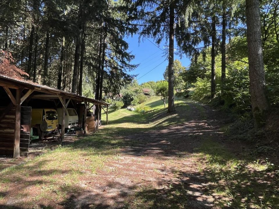 Landejendom i Saint-Perdoux, Lot - foto 4