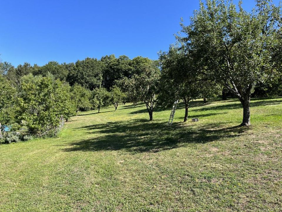 Landejendom i Saint-Perdoux, Lot - foto 5