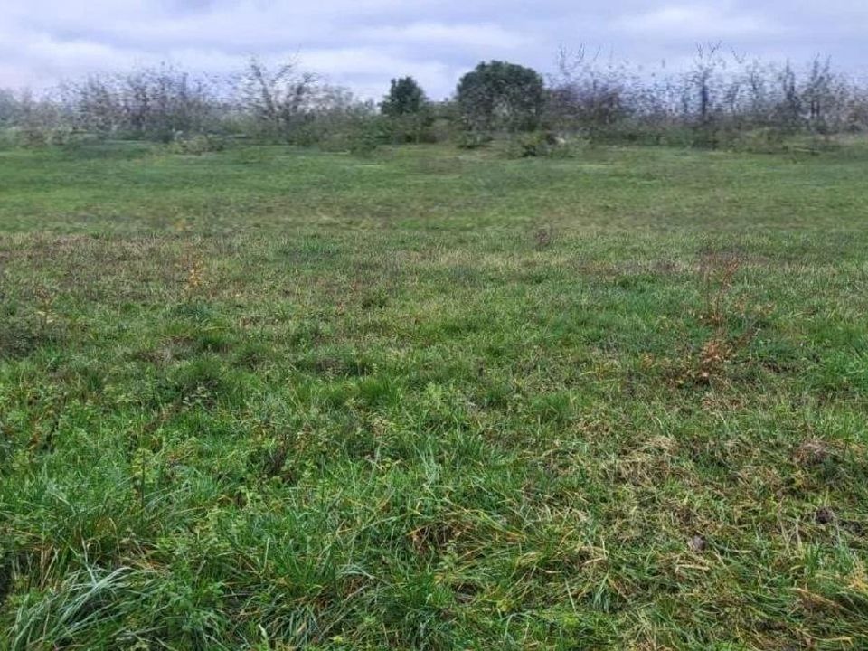 Helårsgrund i L’Isle-en-Dodon, Haute-Garonne - foto 2