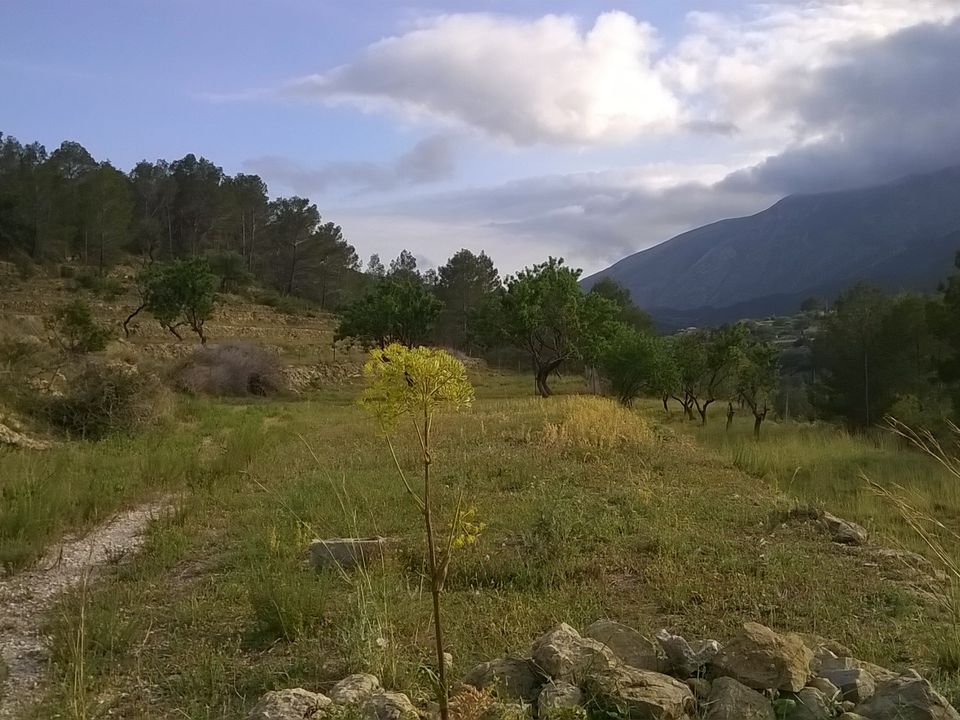 Helårsgrund i Benissa, Alicante - foto 3