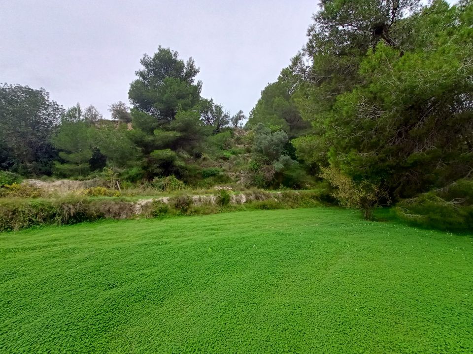 Helårsgrund i Benissa, Alicante - foto 2