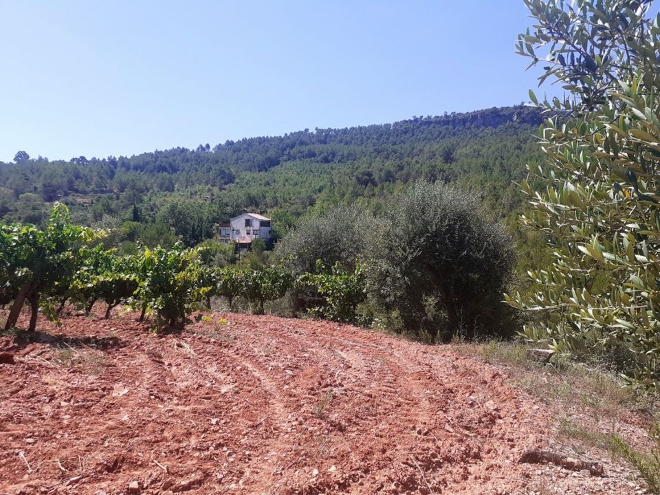 Villa a Pradell, Tarragona - foto 2