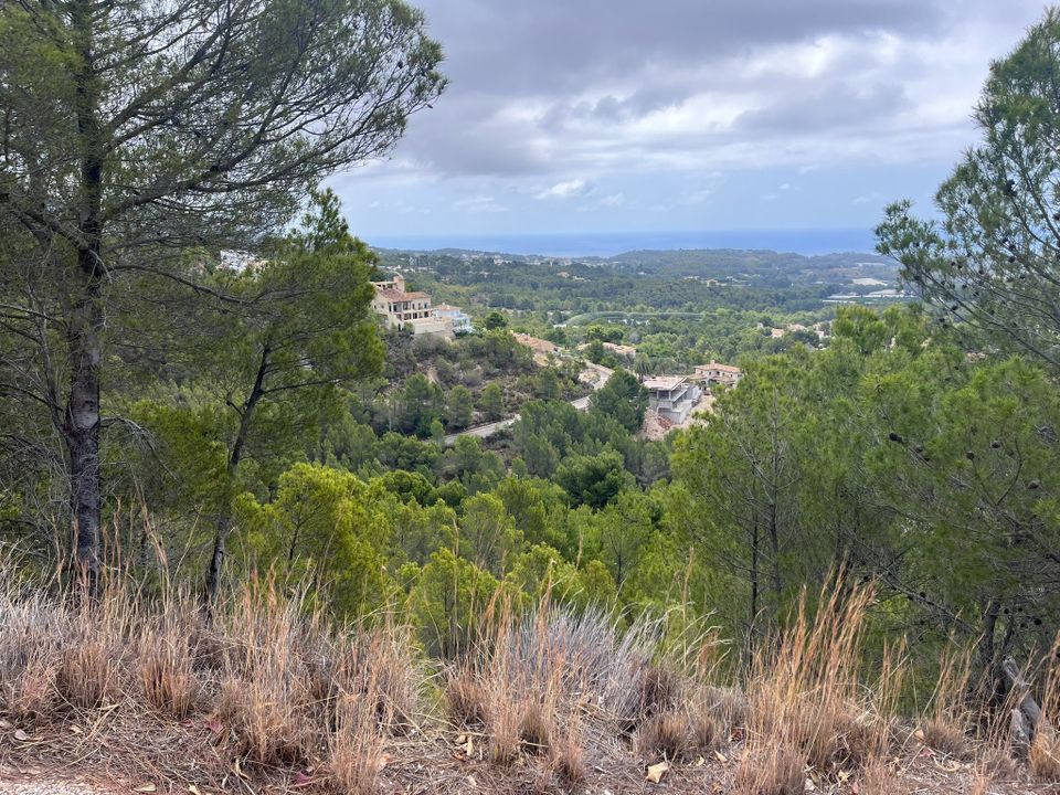 Terra a Callosa D'en Sarria, Alicante - foto 1