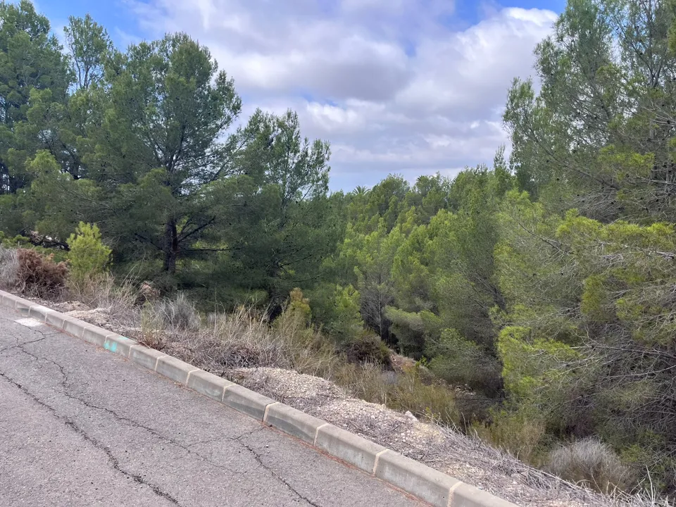 Terra a Callosa D'en Sarria, Alicante - foto 3