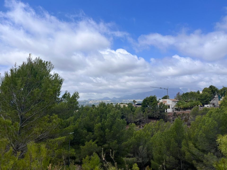 Terra a Callosa D'en Sarria, Alicante - foto 5