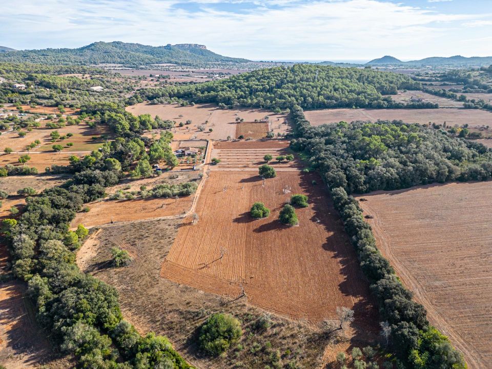 Helårsgrund i Felanitx, Mallorca - foto 2