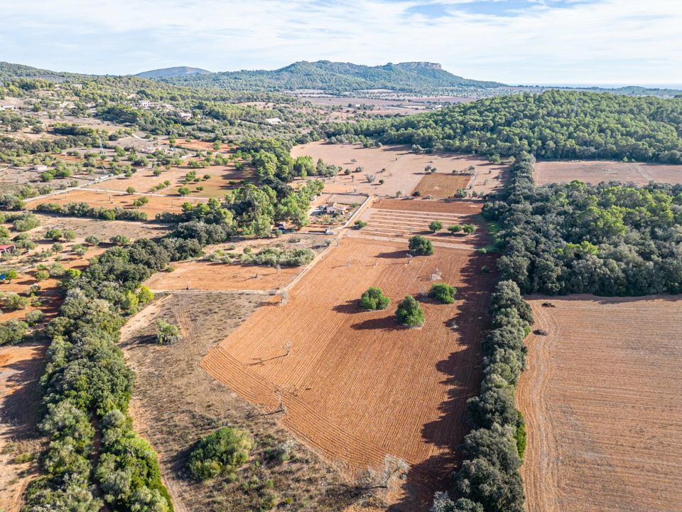 Helårsgrund i Felanitx, Mallorca - foto 3