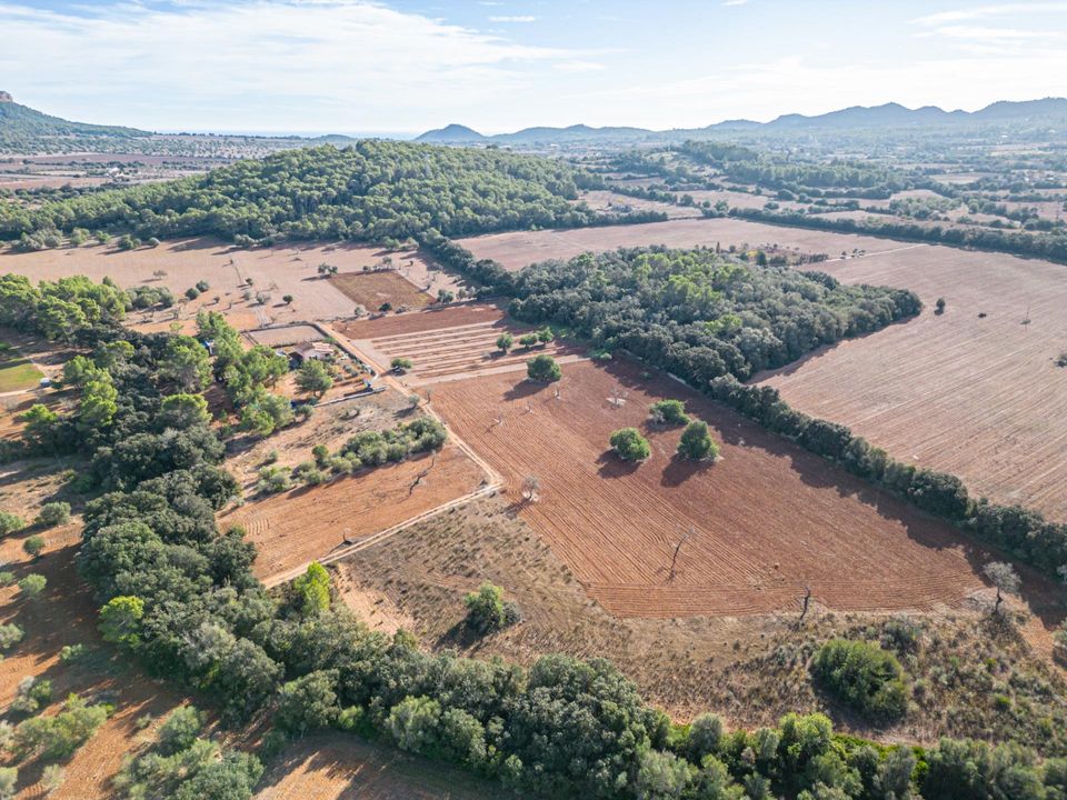 Helårsgrund i Felanitx, Mallorca - foto 4