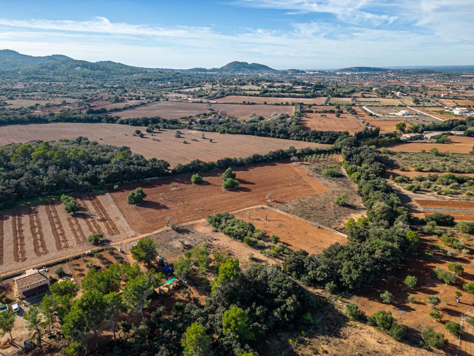 Helårsgrund i Felanitx, Mallorca - foto 5